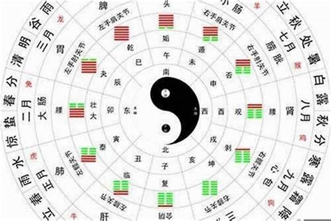 金木水火土数字|【五行篇】金木水火土五行查询表（最全面，收藏起来慢慢看）